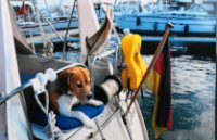 ein Bild aus dem Album